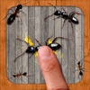 Ant Smasher Game - Best, Cool & Fun Games!