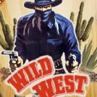 Wild West Pinball