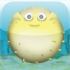 Blowfish