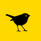 ?????????? ?????? ????????