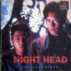 Night Head: The Labyrinth
