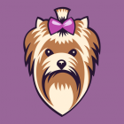 ?????? ??????? ????? ? ?????