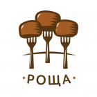 ???? ????  ??????????