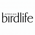 African Birdlife Magazine