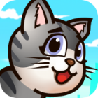 Angelina the Running Cat