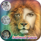 Animal Face Editor