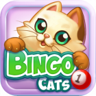 Bingo Cats