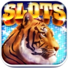 Cats & Dogs Slots