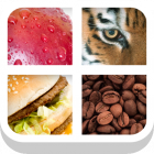 Close Up Pics  Guess the Word from the Zoomed In Photo Quiz