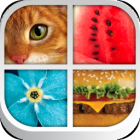 Close Up Pics Zoom Pop Quiz