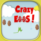 Crazy Egg Adventure