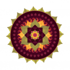 Embody Movement Studio