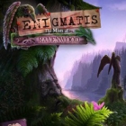 Enigmatis: The Mists of Ravenwood