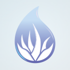 European Skin Care Studio