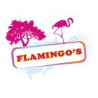 Flamingos