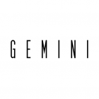 Gemini of Chicago Hair Salon