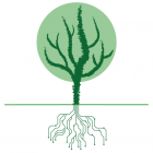 Greater CPH Smart Solutions