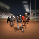 Greyhound Racing