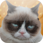 Grumpy Cat: Unimpressed