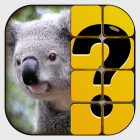 Guess the picture Gushakir Nkary