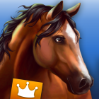 HorseHotel Premium