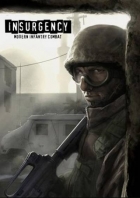 Insurgency
