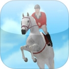 Jumpy Horse Show Jumping