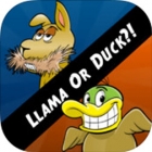 Llama Or Duck?!