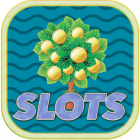 Money Tree Quick Lucky Machine  Las Vegas Free Slot Machine Games  bet, spin & Win big