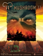 Mushroom 11