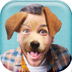 Puppy Face! - Funny Animal Head Stickers Photo Montage free