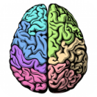 Rock 'n Roll Knowitall