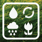 Sony Pictures Televisions Picture This