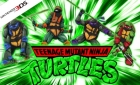 Teenage Mutant Ninja Turtles (3DS)