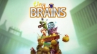 Tiny Brains