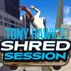 Tony Hawk's Shred Session