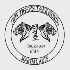 Twin Tiger Taekwondo Utah