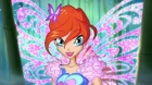 Winx Fairy School