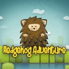 hedgehog adventure