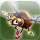 Mr. Bumblebee Racing Champion