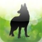 Name That Dog Breed!