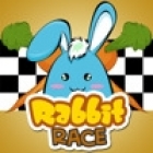 Rabbit Race